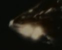 IMG_6789.jpeg