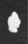 1784756513703.png