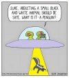 alien vs skunk.jpg