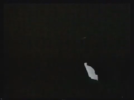 04-33-09.png