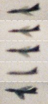 IMG_4905.jpeg