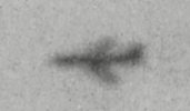 IMG_5110.jpeg