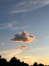 IMG_1531.jpeg