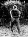 41-bullmontanaas-ape-6.jpg