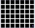 1793019537432.png