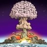 Cognitive Dissident