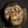 ConfusedHominid