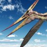 Pterosoar