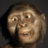 ConfusedHominid