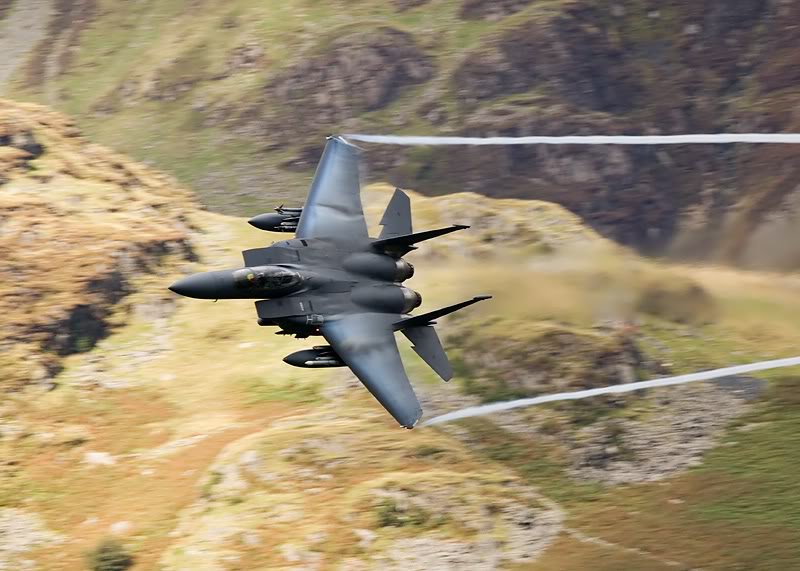 i66.photobucket.com_albums_h261_TOMMYJO_DSC_0205EAGLE.jpg