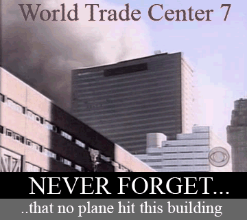 img99.imageshack.us_img99_9376_neverforgetwtc7lt5.gif