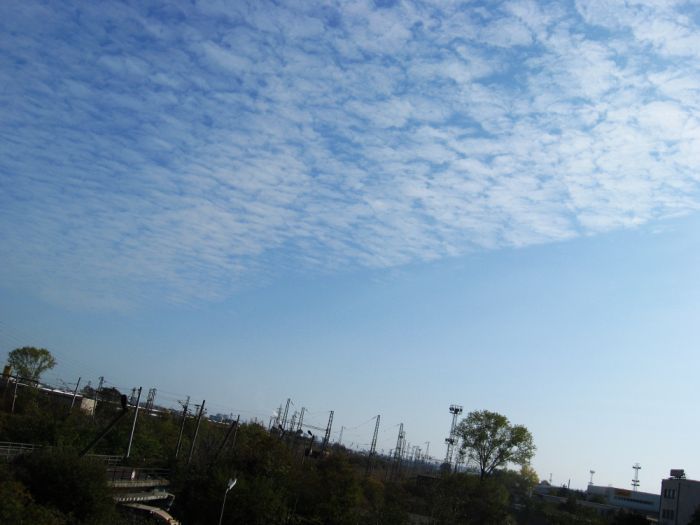prikachi.com_images_23_5465023R.jpg