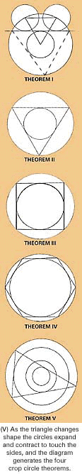 www.cropcirclesecrets.org_ccimages_crop_circles_7017.gif