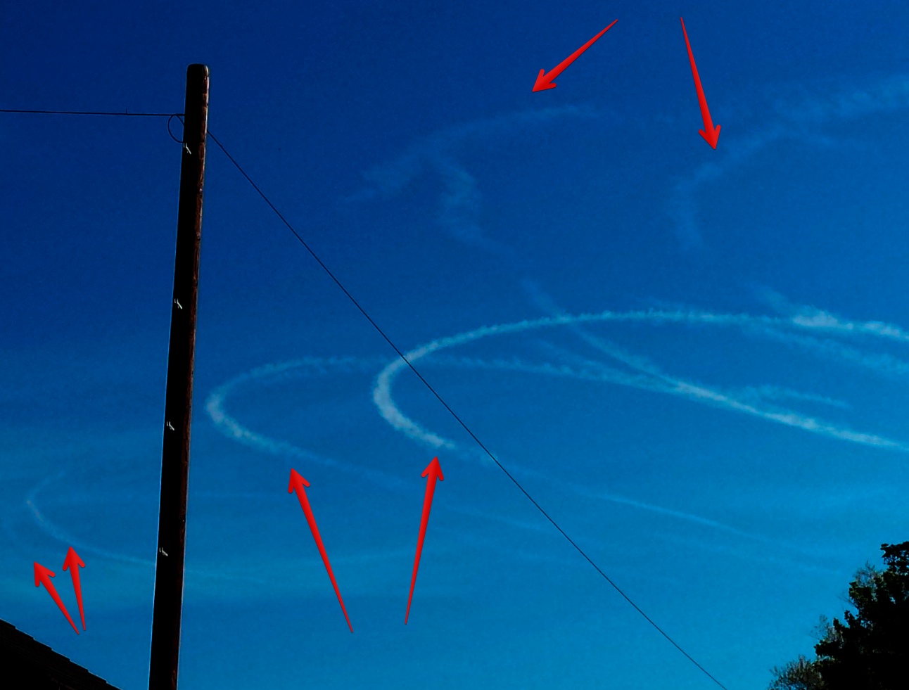 20140514_084340__81.3_RGB8__20140515_103529_20140515_103556.jpg