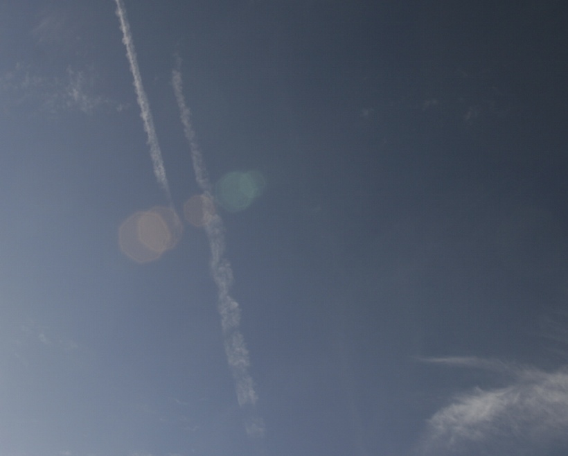 20140808-102830-234hu.jpg