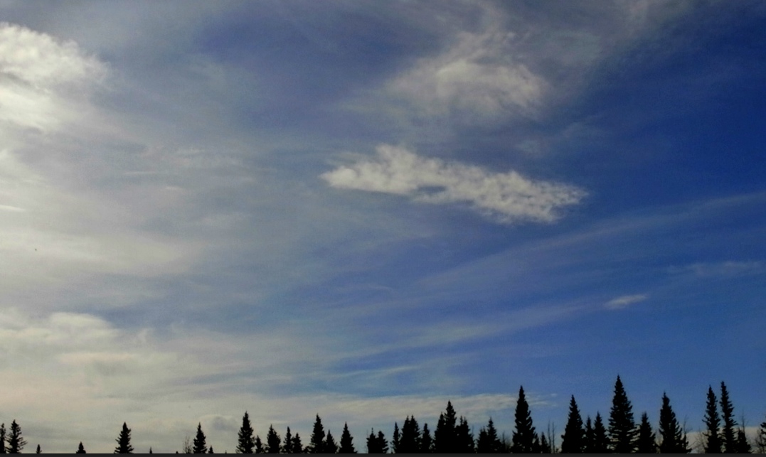20140809-111515-mo3us.jpg