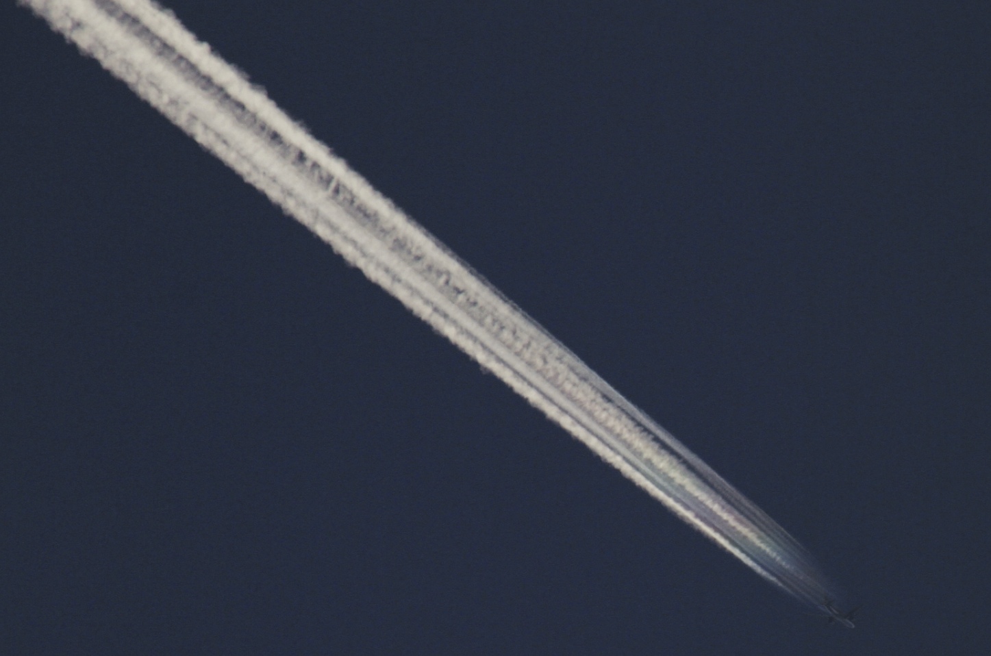 20141004-141344-dbjqa.jpg