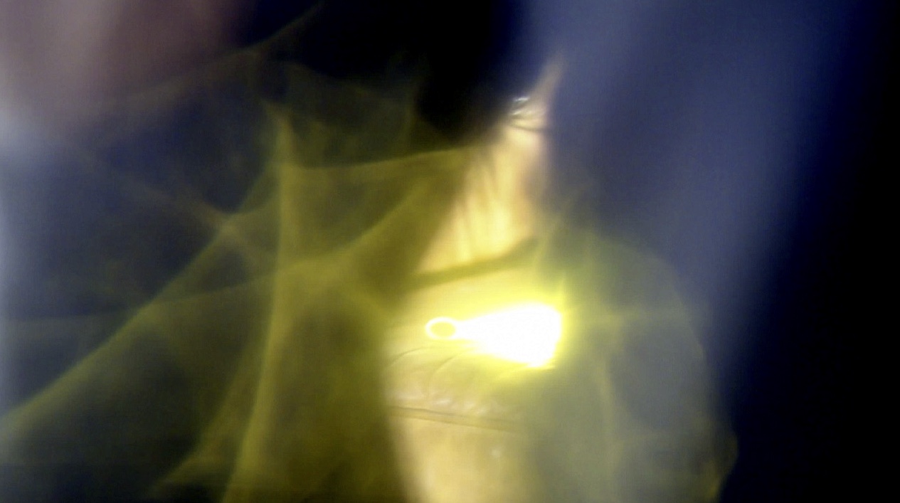 20141128-140256-tsg5h.jpg