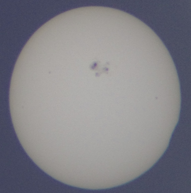 20150319-174245-976ec.jpg