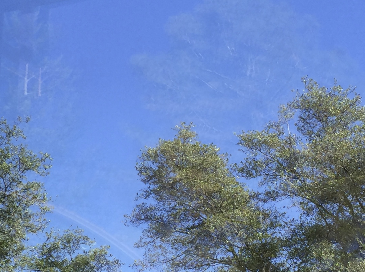 20151020-140358-wh9ze.jpg