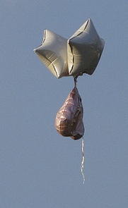 Balloon_Adventurers__Flickr__Photo_Sharing_20140311_064944_20140311_064947.jpg