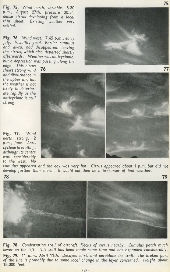 Contrails_Illustration__Flickr__Photo_Sharing_20140313_173255_20140313_173258.jpg