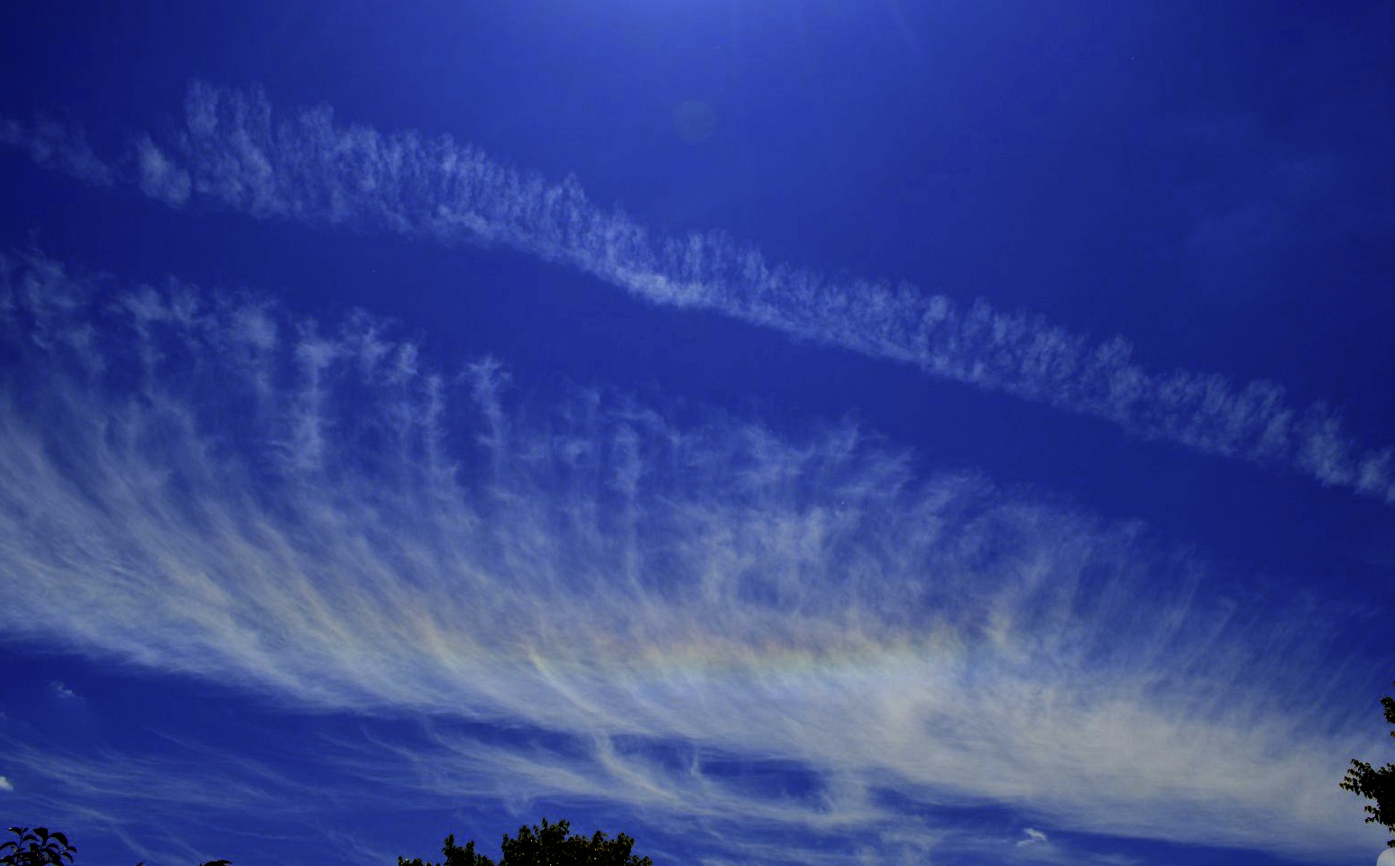 DSC_0308.JPG__100_RGB8__20140607_100653_20140607_100704.jpg