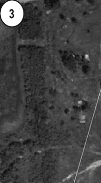 Demolished_trees_MoD_Pic3-compare.gif