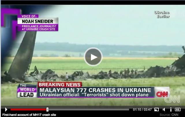 First-hand_account_of_MH17_crash_site_Bodies_are_scattered__The_Lead_with_Jake_Tapper_-_CNN.com_Blogs_2014-07-24_20-33-10_2014-07-24_20-33-12.jpg