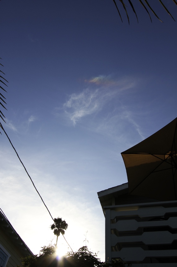 IMG_2632.JPG__16.7_RGB8__2014-07-28_17-54-38_2014-07-28_17-54-42.jpg