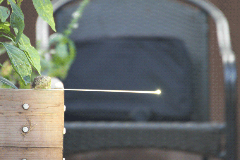IMG_3065-BOKEH-ANIM.gif