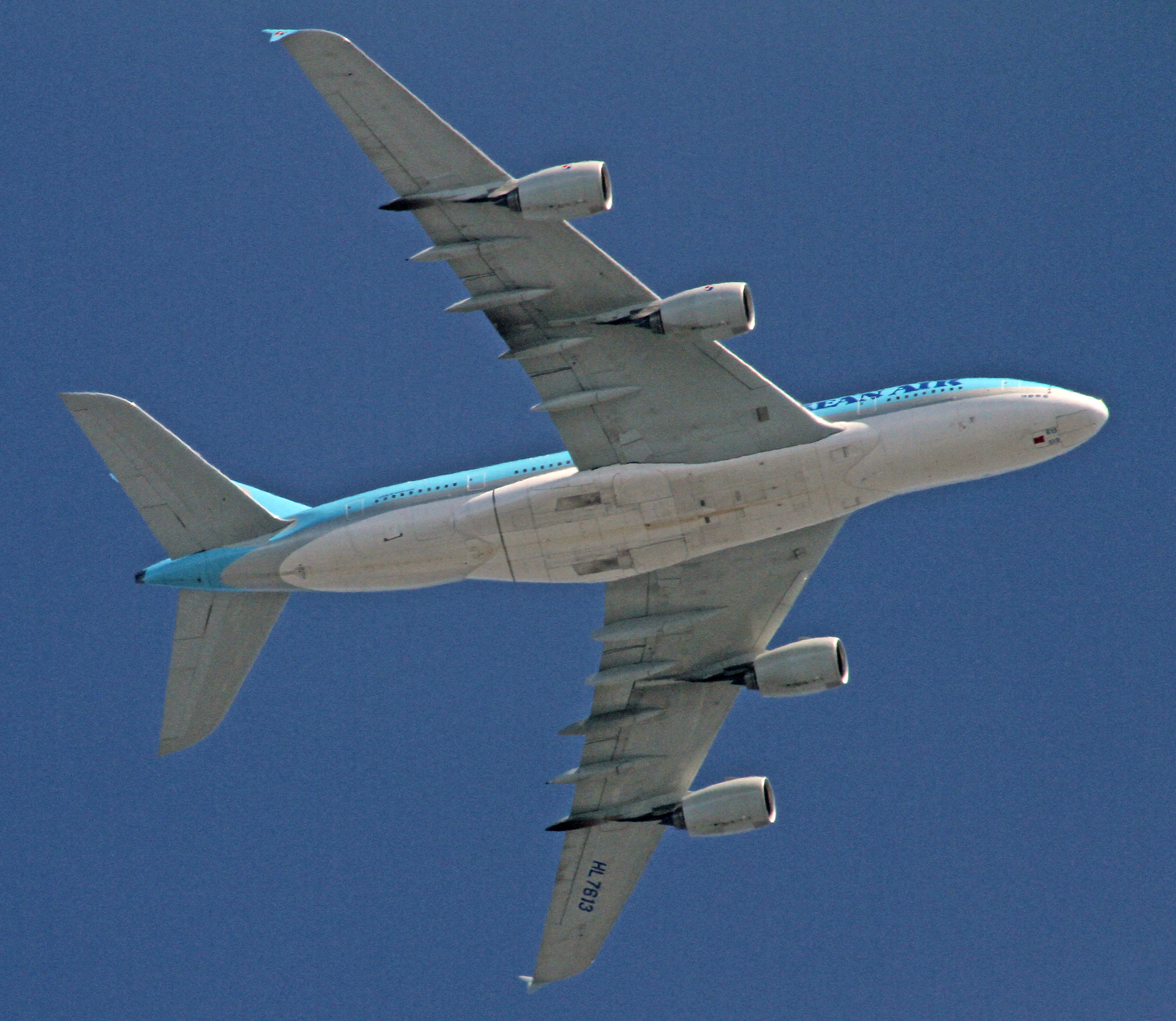 IMG_6683a_A380.jpg