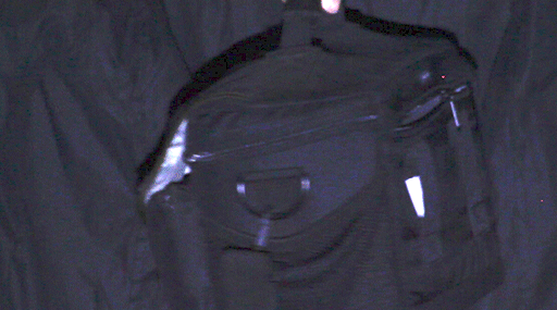 MVI_9124-bright.gif