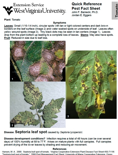 Plant_Disease_Fact_Sheets_July_6_09.pdf-20130814-091820.jpg