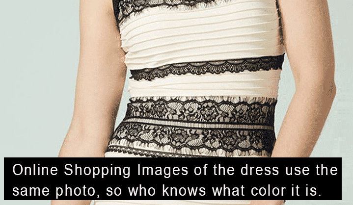 drees-compare271YmF7Tqm9L.gif