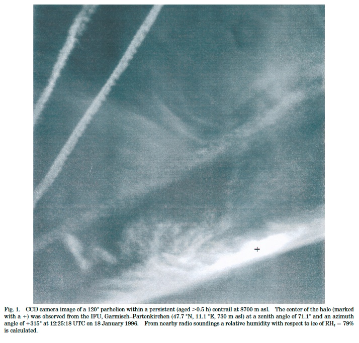 halo_1997.pdf-20130910-074153.jpg