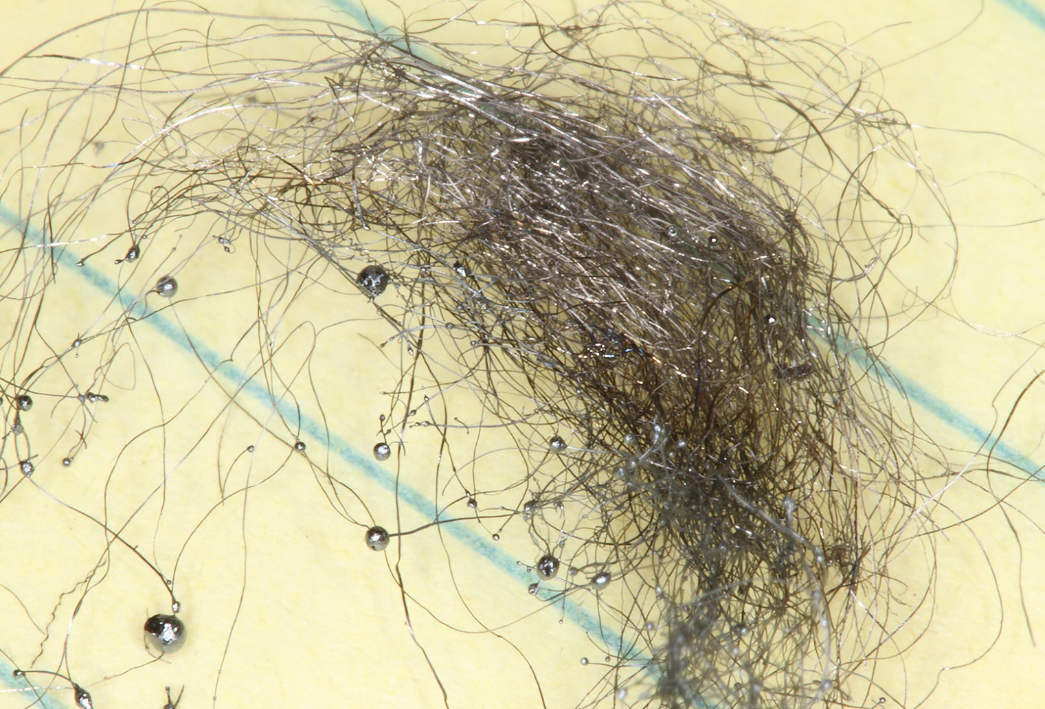 skitched-20131014-115551.jpg
